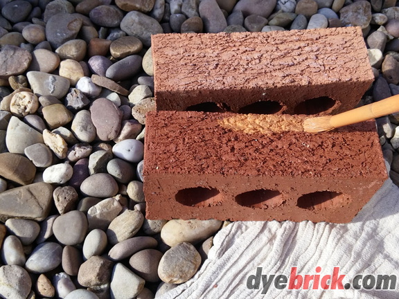 002 Tinting Sample Bricks